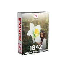 Load image into Gallery viewer, 1842+ Camera Raw presets Bundle