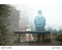 Load image into Gallery viewer, Fog Overlays