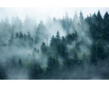 Load image into Gallery viewer, Fog Overlays