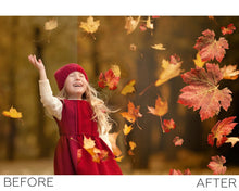 Load image into Gallery viewer, Leaves Overlays