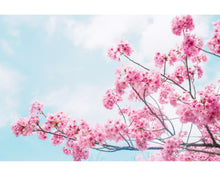 Load image into Gallery viewer, Pastel lightroom presets