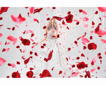 Load image into Gallery viewer, Petals Overlays