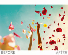 Load image into Gallery viewer, Petals Overlays