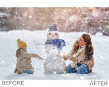 Load image into Gallery viewer, Snow Overlays